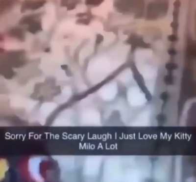 Just a giggle