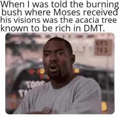That makes waaaay more sense than the Bible's story.