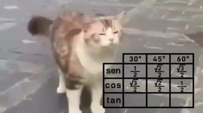 Aprendiendo matem&aacute;ticas con Carola