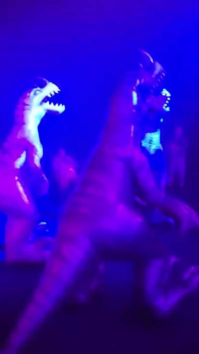 Furry&eth;&brvbar;irl