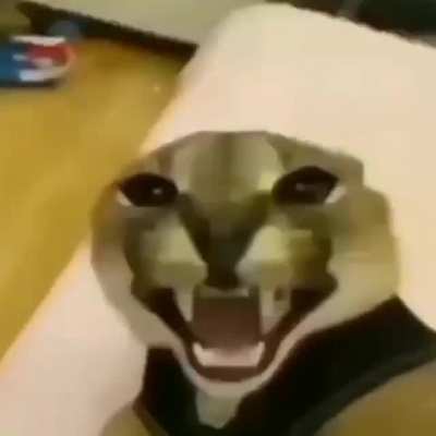 &ntilde;o&ntilde;o&ntilde;o