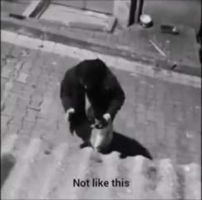 Drunk turkish guy arguing with a street dog about communism and narcissism