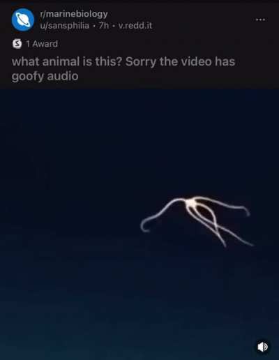 goofy