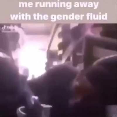 gender heist