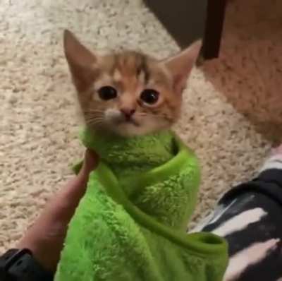 angery burrito