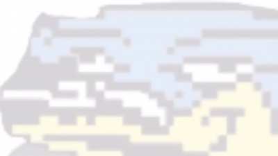 Haha i gave u/The_Real_Berdly drip