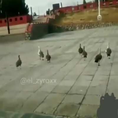 CUANDO EL FAN DE MONOGATARI POR FIN ENTRA A UN JARDIN DE NIÑOS