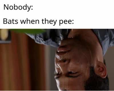 getting wet is their passion