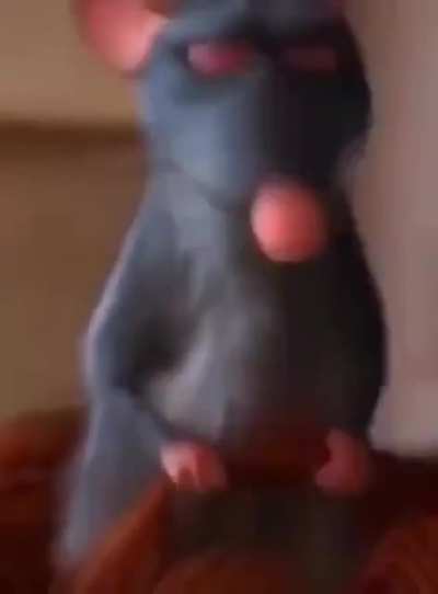 Sei l&aacute; v&ecirc; o v&iacute;deo
