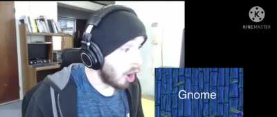 Noooo