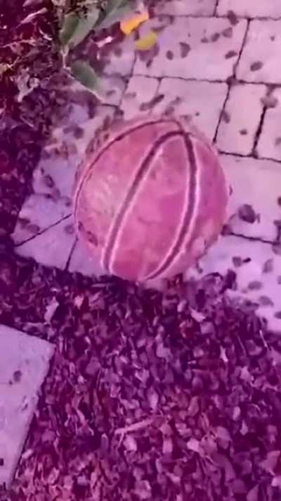 have no idea what’s going on here
