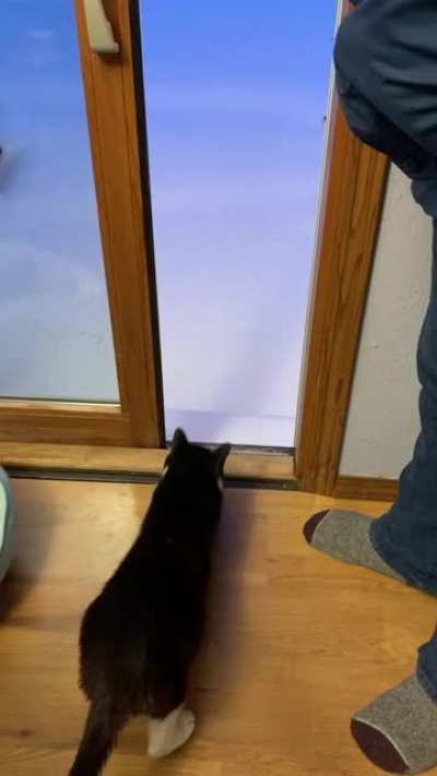 To go outside!