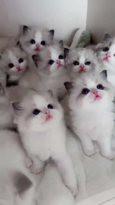 Heaven on Earth
