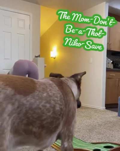 IG indoor golf