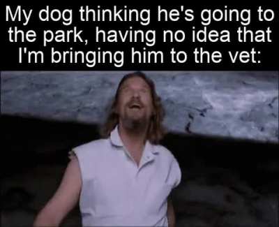 "Park, park, park!"