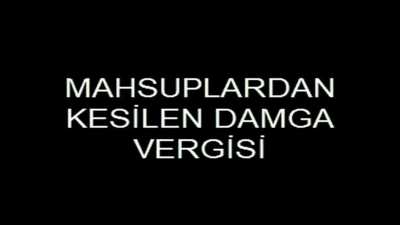 SS AL HANGİ VERGİSİN &Ouml;ĞREN