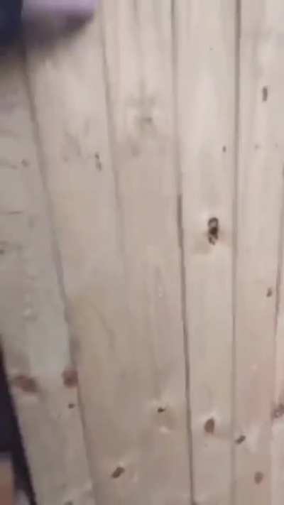 jumpscare