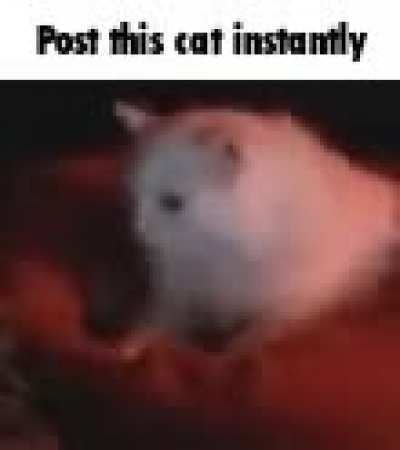 Rule