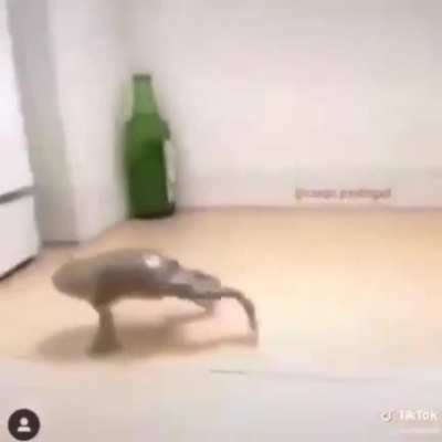 ???