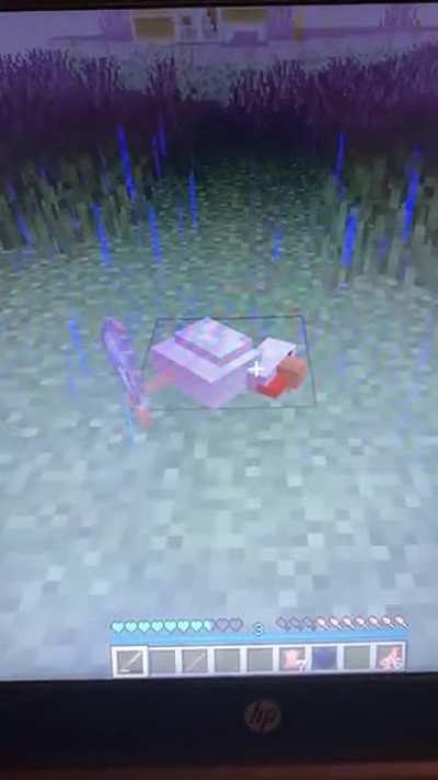 The forever dead chicken, why isn&rsquo;t it going away?