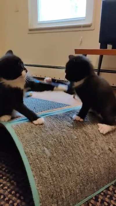 How can she slap??