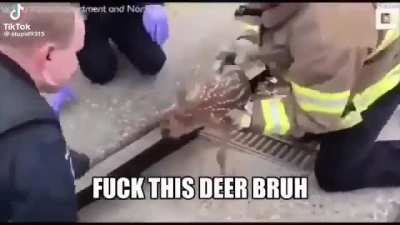 Wunk disposal