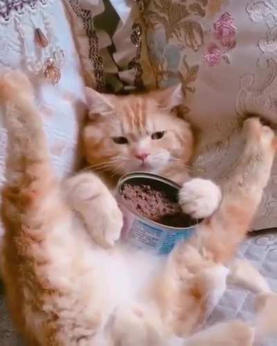 JunKIE oVeRDOSeS ON cRacK aNd dieS!