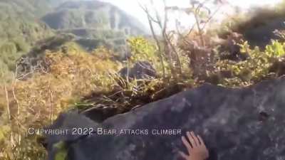 Hiker fend off a whole Bear