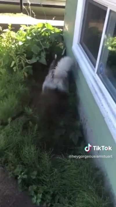 No I don&rsquo;t wanna be wet!
