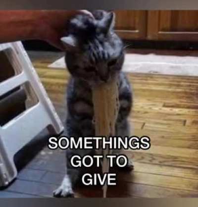Blursed_cat