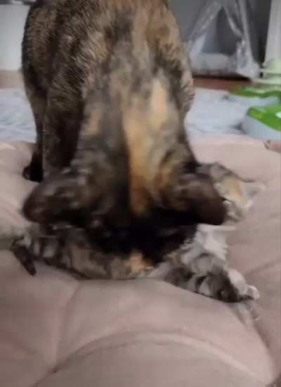 oh, are you okay
