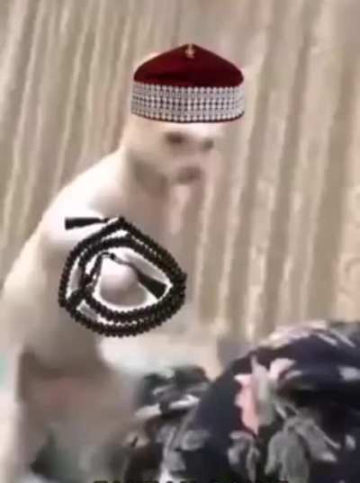 گناه نکنید که خداوند گناه کاران را درست ندارد