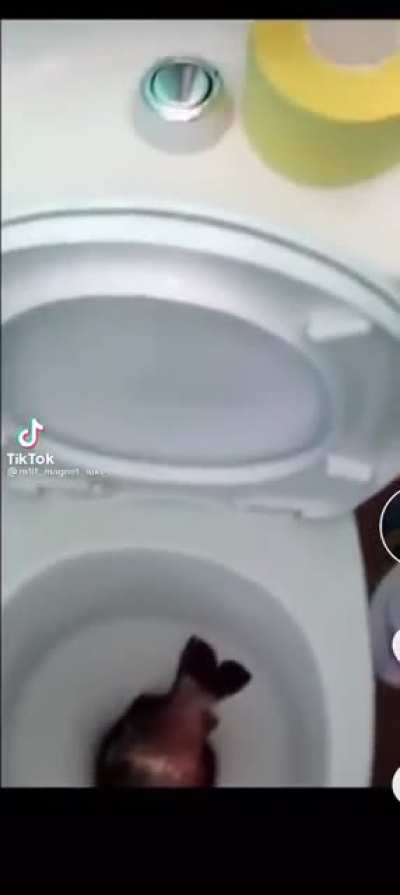 hmm
