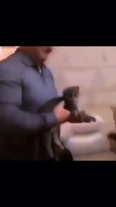 catt