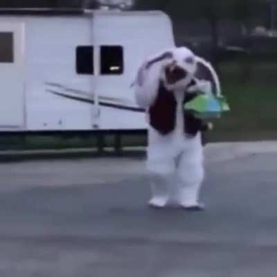 Happy Easter!