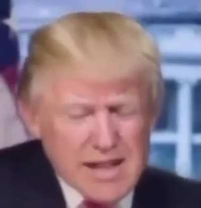 EL TRUMP