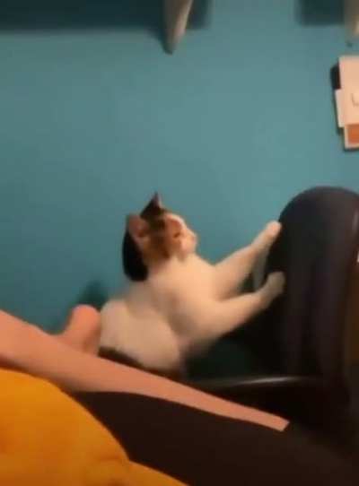 I think he doesn&rsquo;t like the song