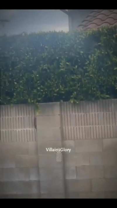 NOOOOOO speedy :(
