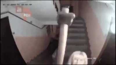 Xd