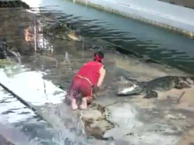 O promotor dema j&aacute; &eacute; ele colocando a m&atilde;o na garganta do bicho