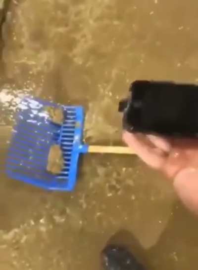 If you think you had a bad day, imagine this guy...
