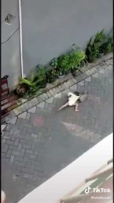 Desse jeito não dá pra apoiar você mano, sequestrando bebês?