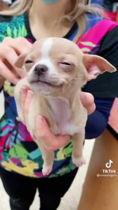 Oh yeah..That&rsquo;s the spot...