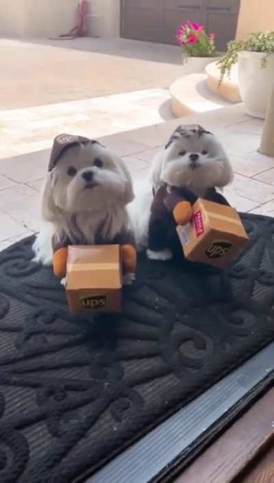 Special Delivery