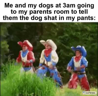 It was the dog.. I swear.