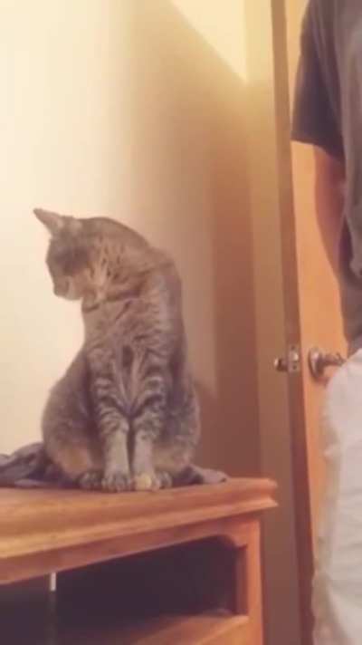 "That was you, wasn't it??"