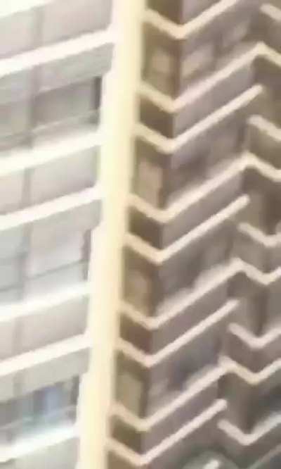 O miranha