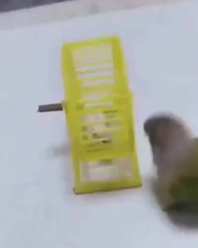 Now that&rsquo;s just mean