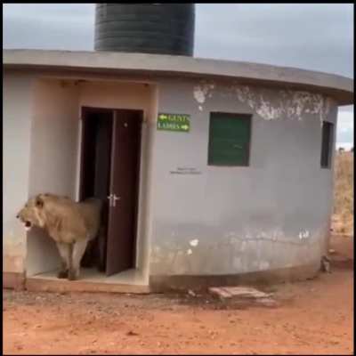 The highway restroom