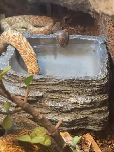 Sharing is caring